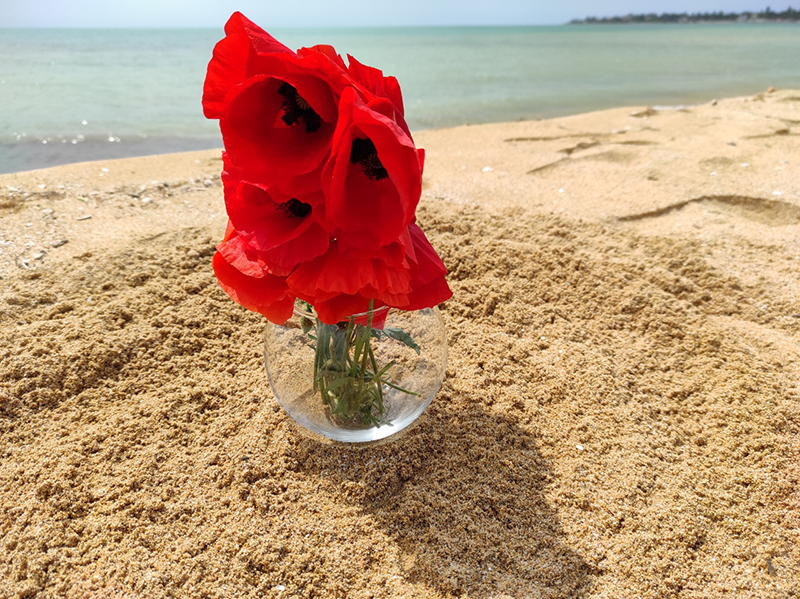 Оставляйте отзывы об отдыхе у нас